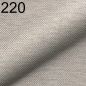 Preview: Astra 220