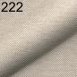 Preview: Astra 222
