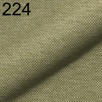 Astra 224