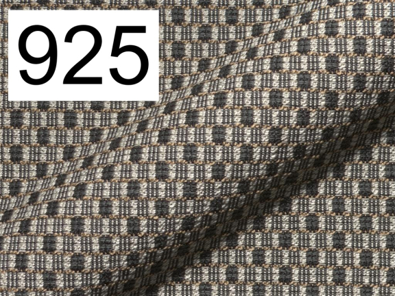 Chess 925