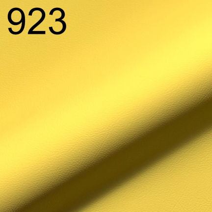 Rio 923