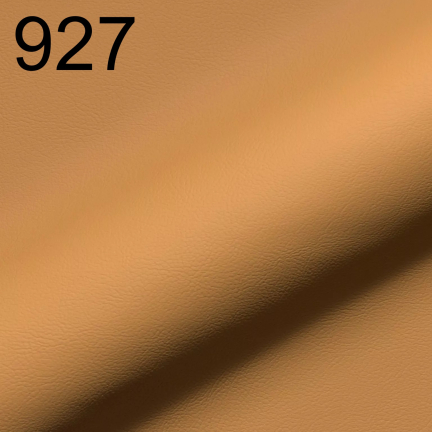 Rio 927