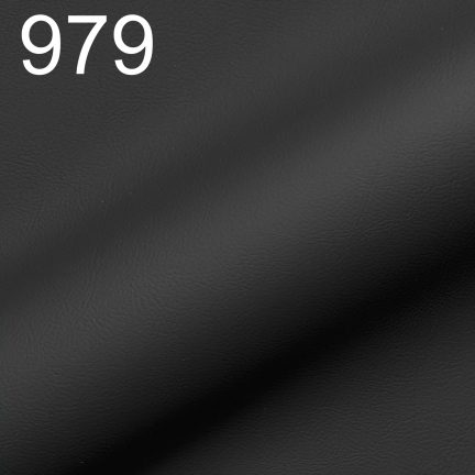 Rio 979