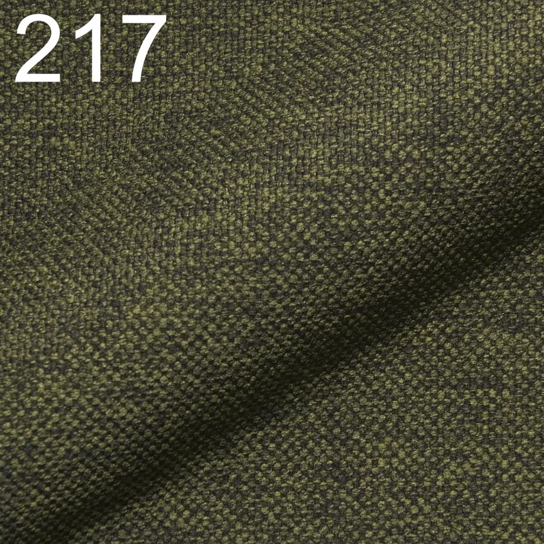 Astra 217