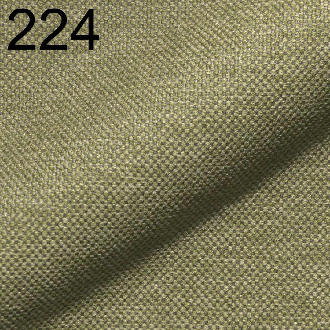 Astra 224