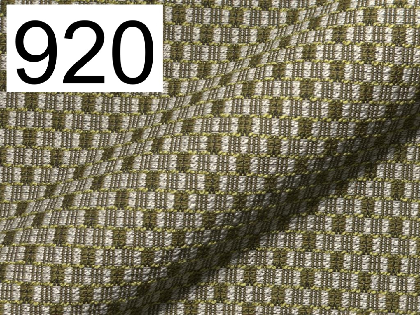 Chess 920